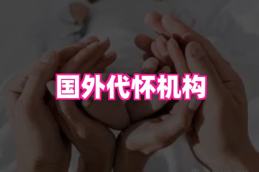 长春助孕网站 2